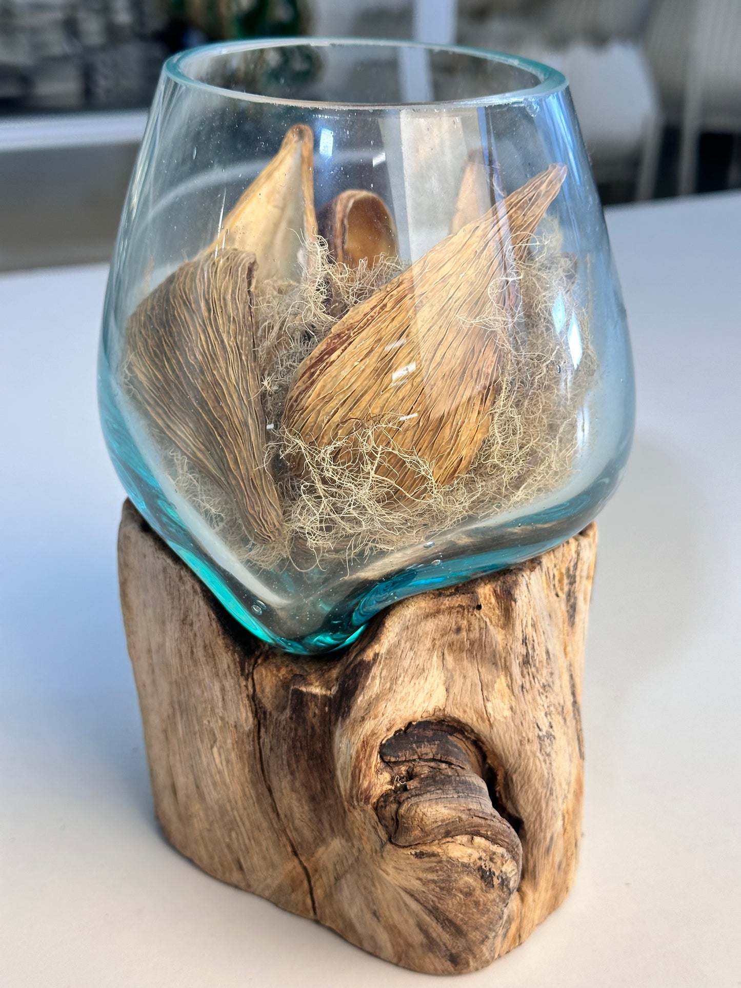 Molten Glass Bowl on Driftwood Base, small
