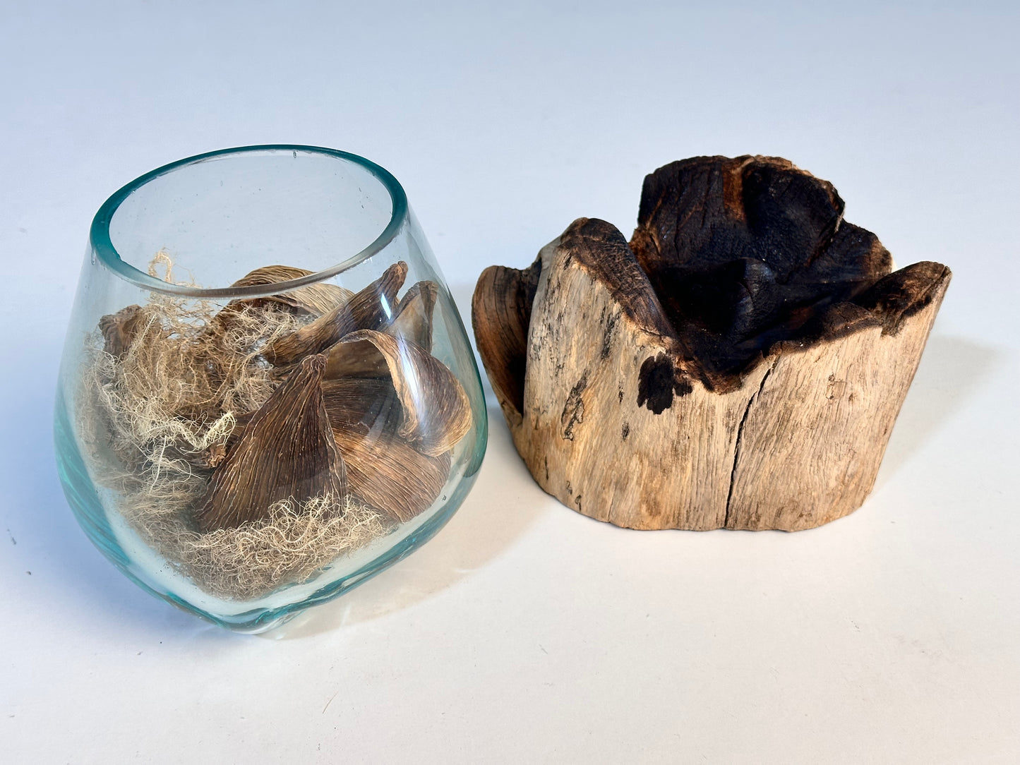 Molten Glass Bowl on Driftwood Base, small