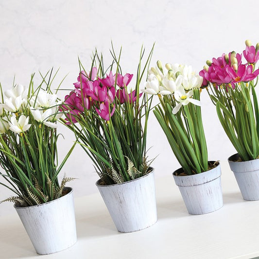 Potted Crocus White Faux Floral Arrangement 30cm