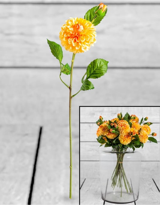 Single Gold Dahlia Stem