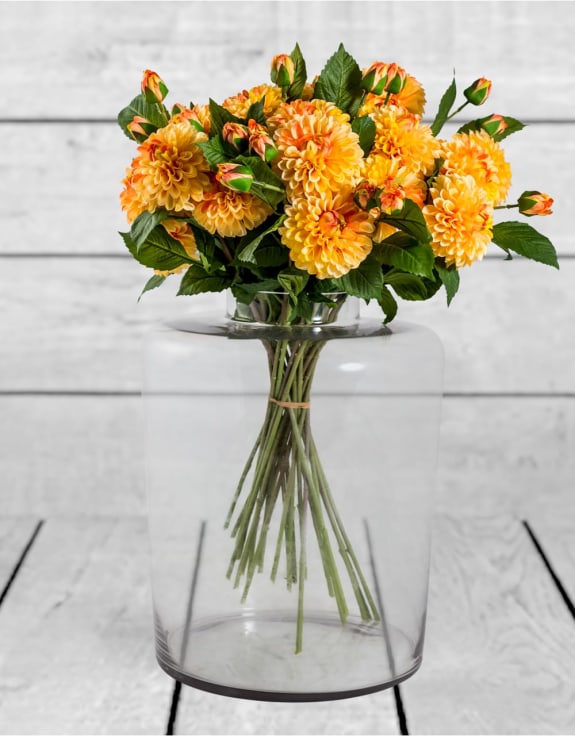 Single Gold Dahlia Stem