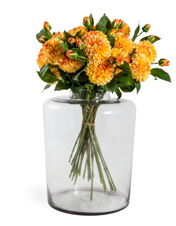Single Gold Dahlia Stem
