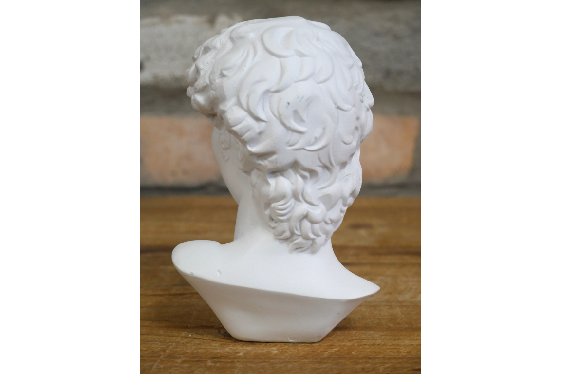 Roman Bust with a Twist