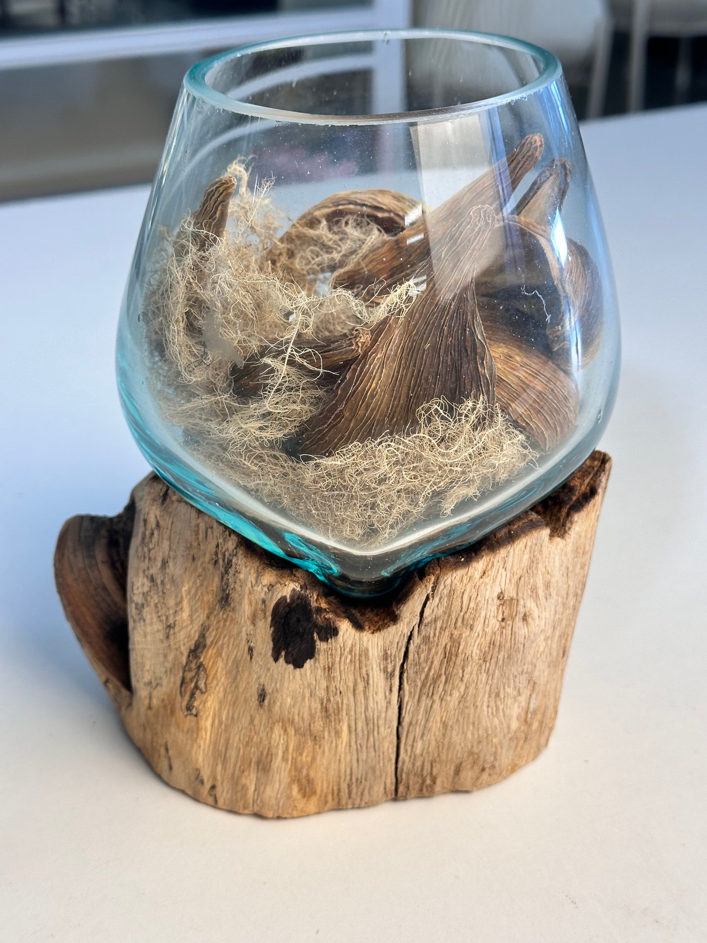 Molten Glass Bowl on Driftwood Base, small