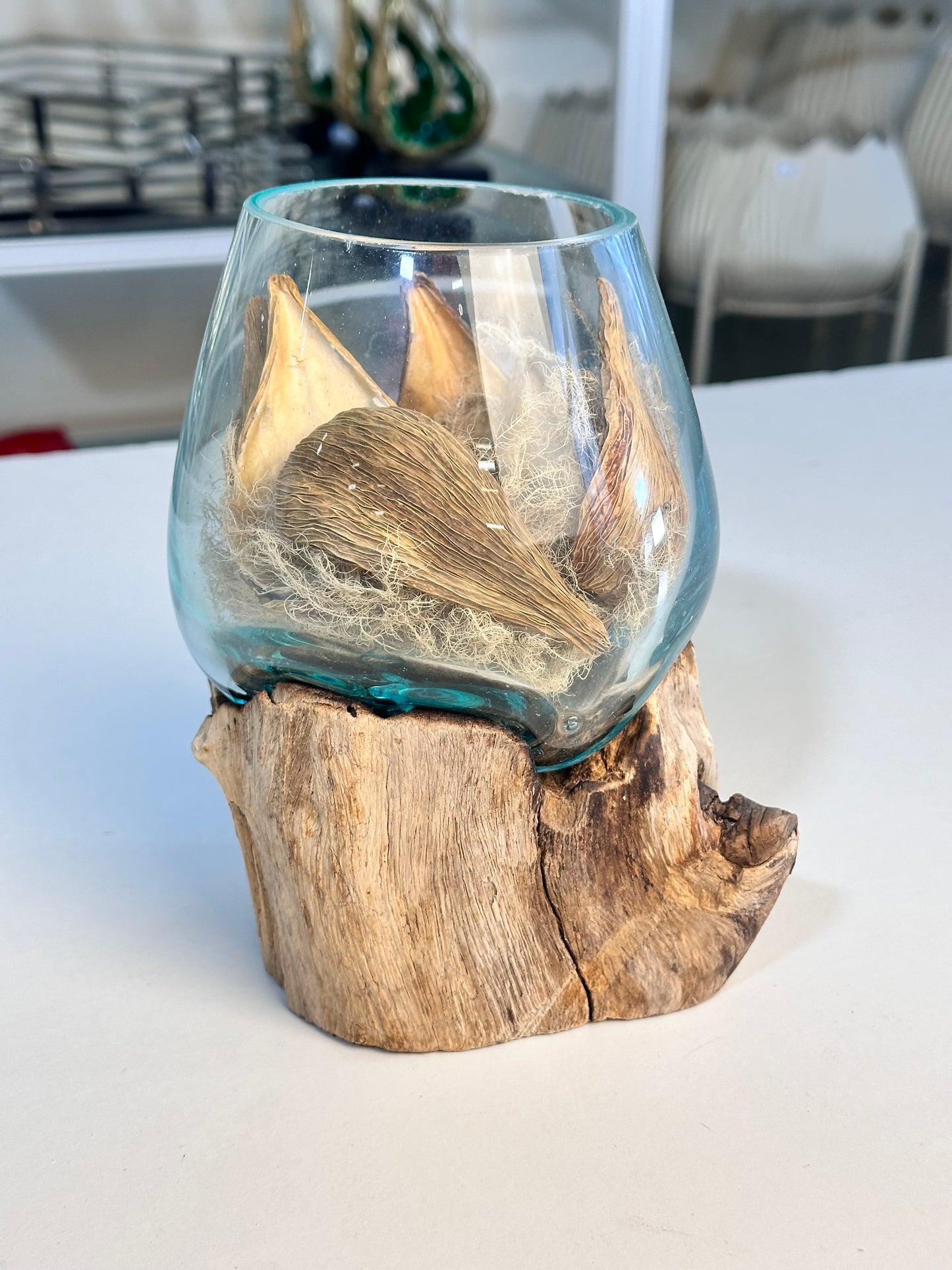 Molten Glass Bowl on Driftwood Base, small