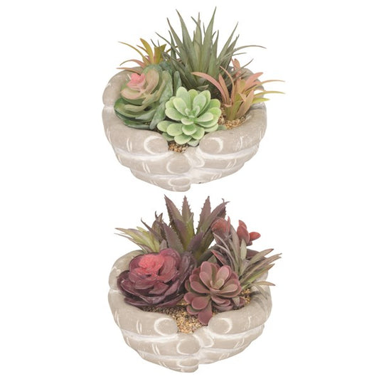 Succulent Pot Reds 15.5cm
