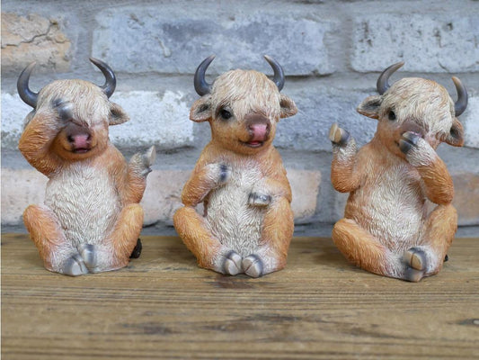 tos-no1a-i-t5fjg24jzw-no/0e851355d7ec4f7294b0275f4941f285