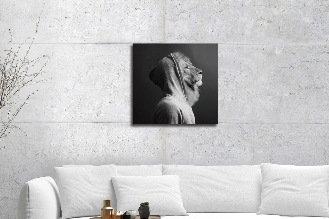 Lion In Hoodie Glass Wall Art - Mini