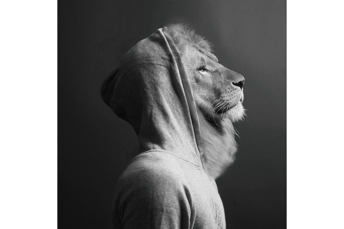 Lion In Hoodie Glass Wall Art - Mini