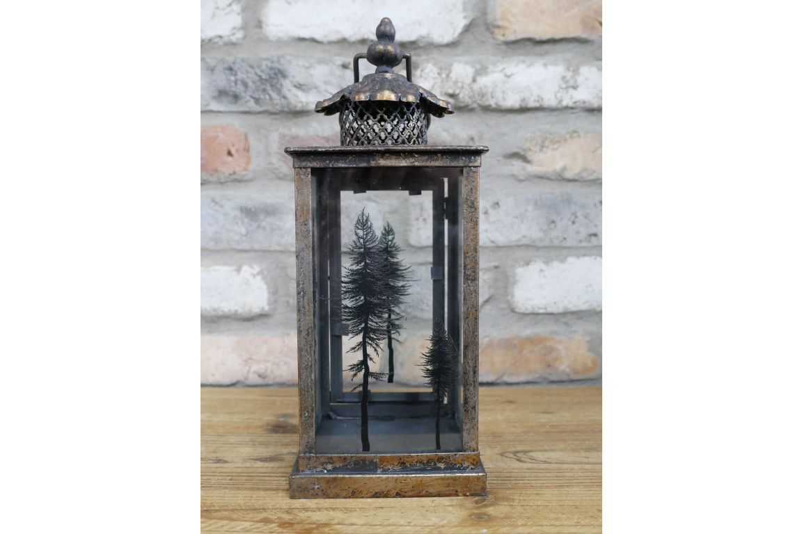 Large Tree Motif Lantern In Glass & Aged Gold Steel