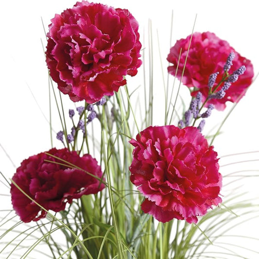 Purple Carnation Grass Bundle 45cm