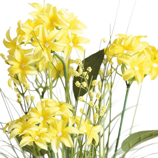 Yellow Hyacinth Grass Bundle 65cm