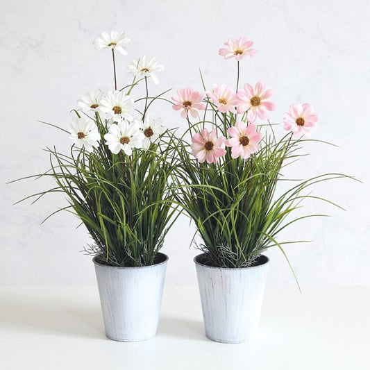 Potted Cosmos White Faux Plant 55cm
