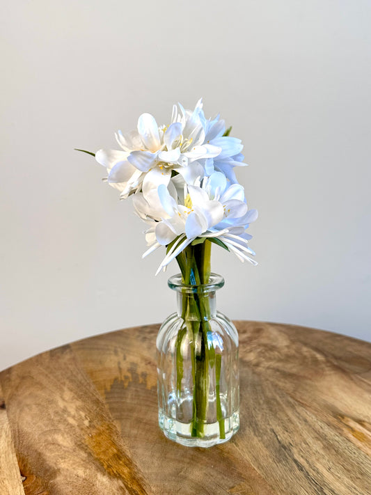 White Floral Display In Clear Glass Ribbed Jar 21cm