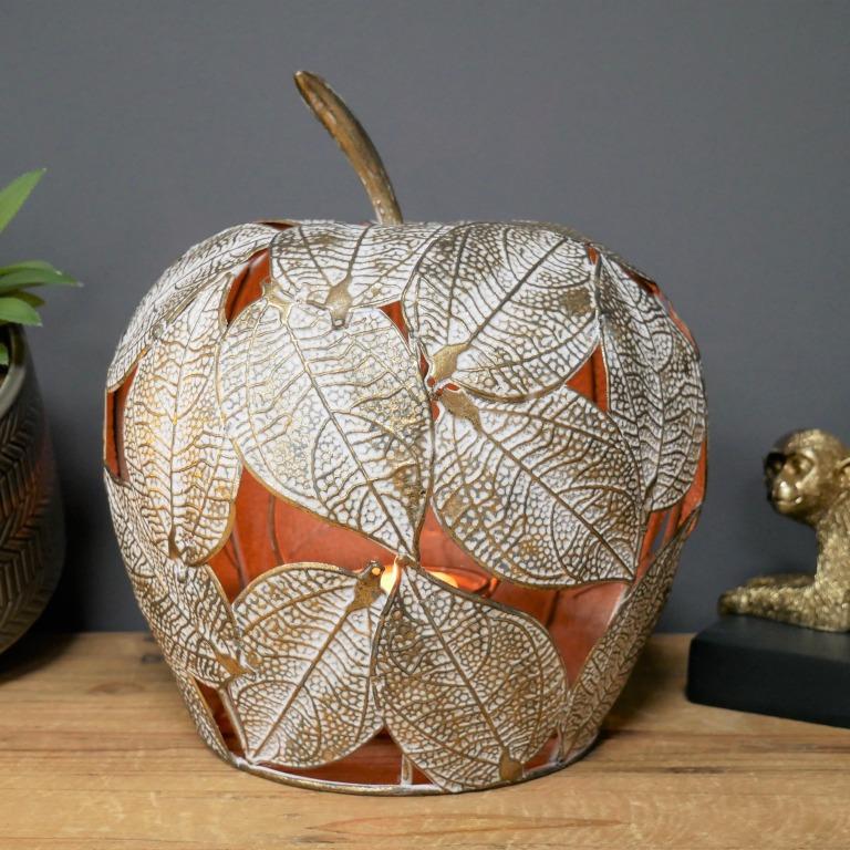 tos-no1a-i-t5fjg24jzw-no/5bf68bea85b042a982195f7650bbe9d0