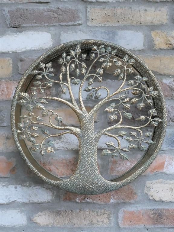 tos-no1a-i-t5fjg24jzw-no/675c61204ded48c0abdd60eec81bfde3