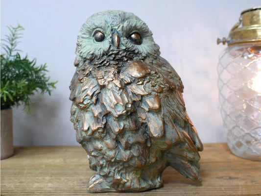 tos-no1a-i-t5fjg24jzw-no/6b01dc2ecb7749cb87c05eabdbc3990f