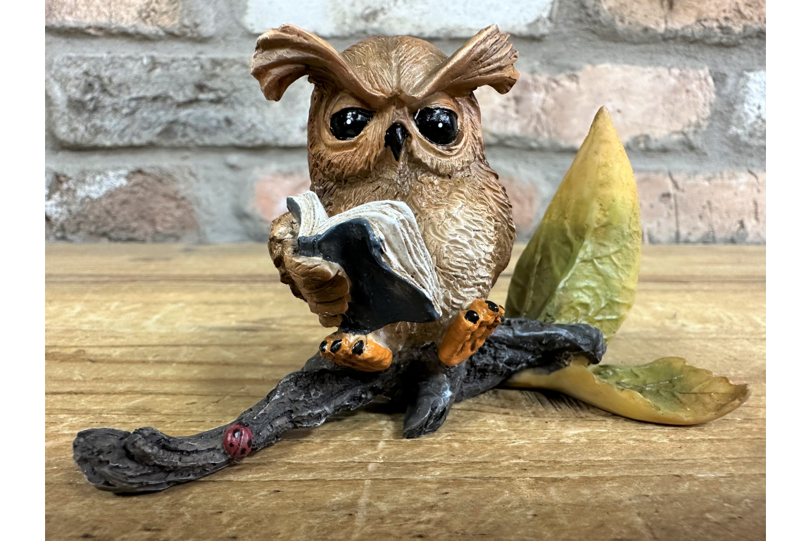 Owl Reading Statue