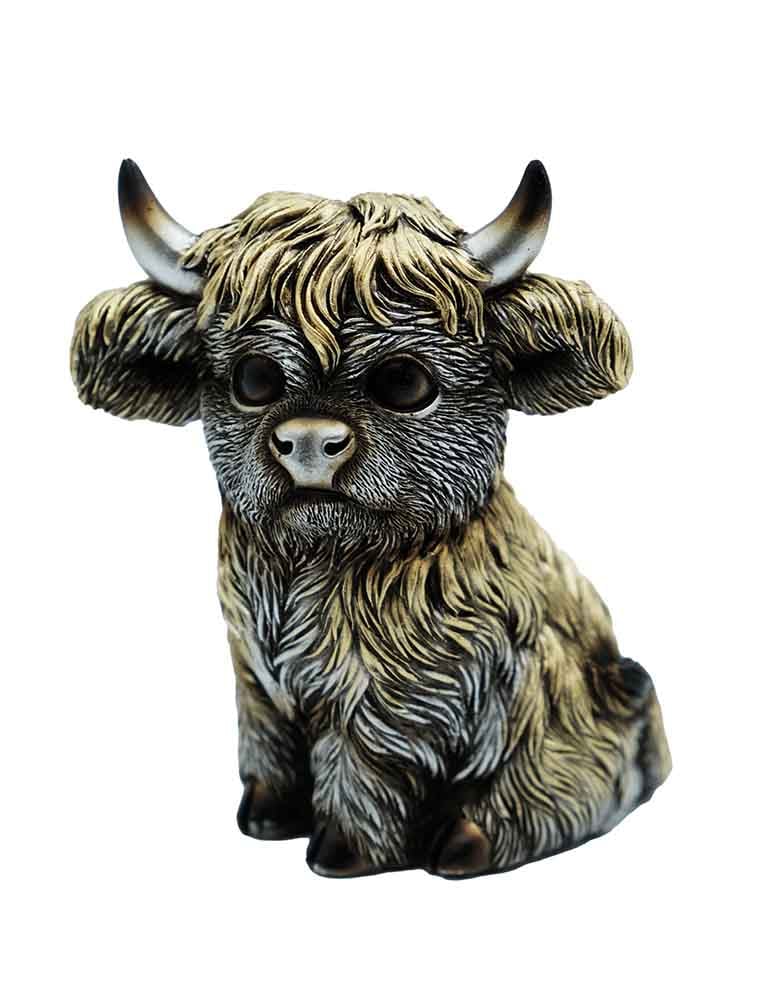Cute Little Sitting Highland Cow