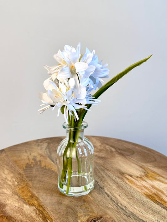 White Floral Display In Clear Glass Ribbed Jar 21cm