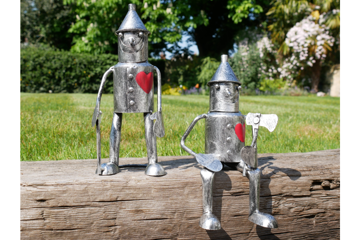 Tin Man - Mini Sitting