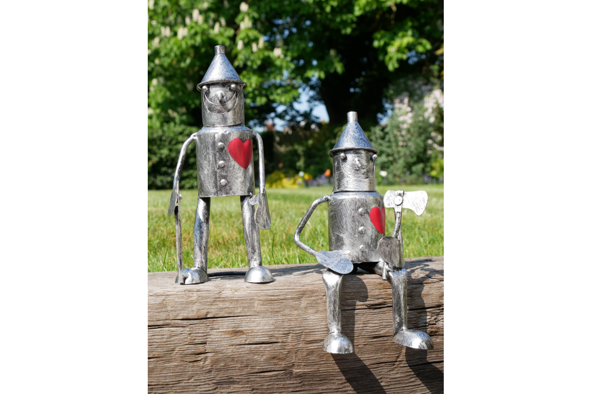 Tin Man - Mini Sitting