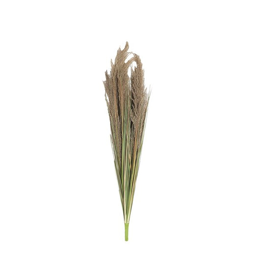 Pampas Grass Stem 99cm